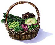 pazı kavurması & semizotu salatası